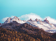 九游-华体会体育:开启专业与热情并存的运动新生活