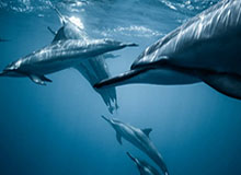 九游-华体会体育:开启专业与热情并存的运动新生活